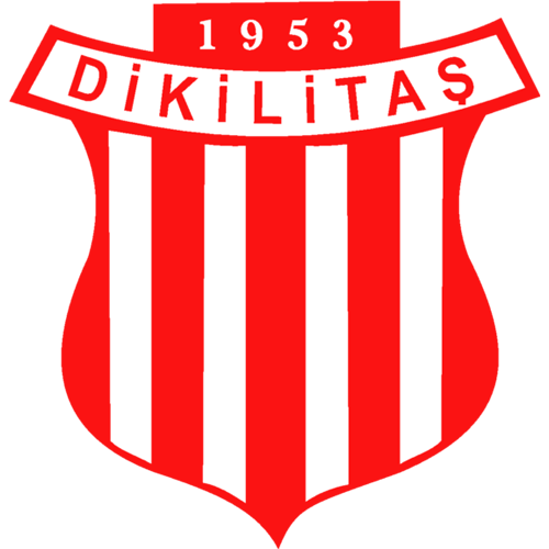 DİKİLİTAŞ SPOR